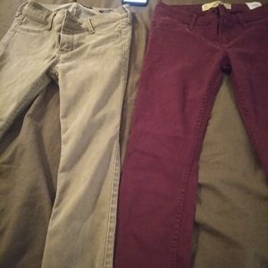 Hollister pants